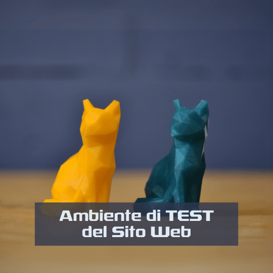 Servizio di Ambiente di Test per il Sito Web